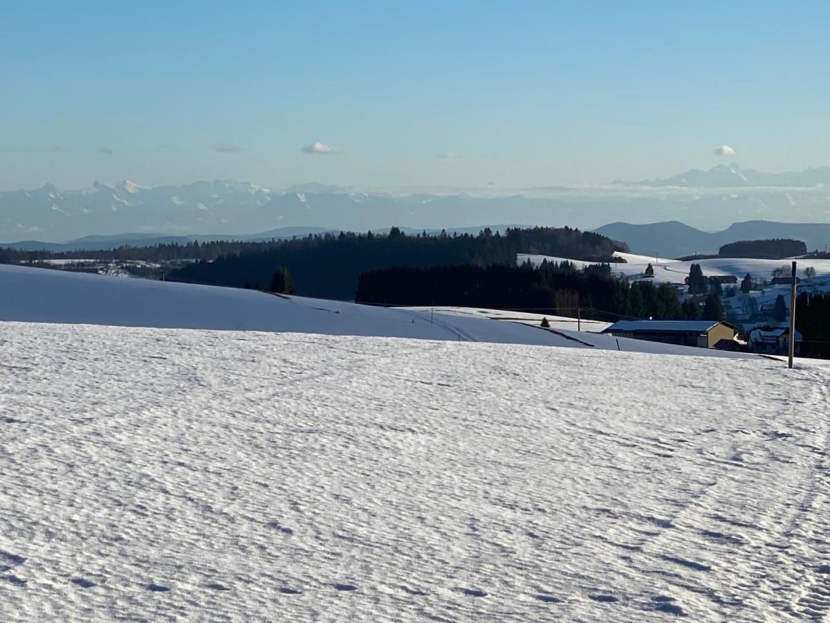 Appartement Bergwaerts Rickenbach  Exteriér fotografie