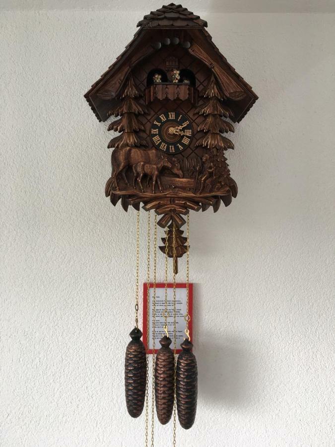 Appartement Bergwaerts Rickenbach  Exteriér fotografie