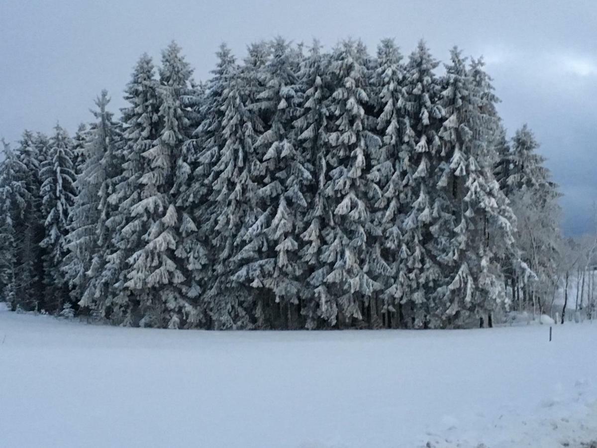 Appartement Bergwaerts Rickenbach  Exteriér fotografie