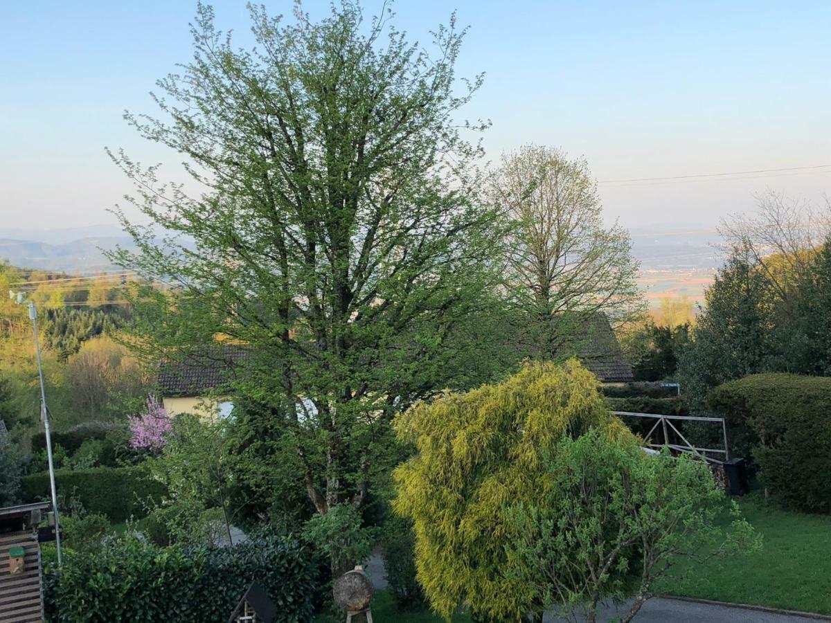 Appartement Bergwaerts Rickenbach  Exteriér fotografie